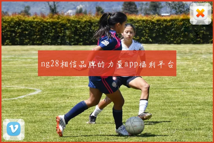 ng28相信品牌的力量app福利平台