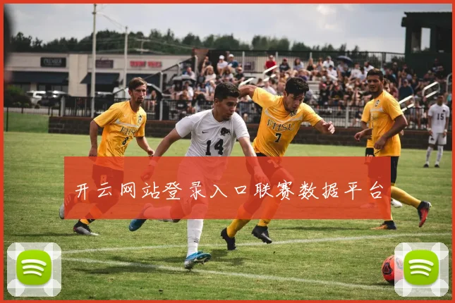 开云网站登录入口联赛数据平台