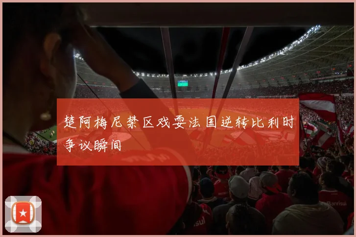 楚阿梅尼禁区戏耍法国逆转比利时争议瞬间